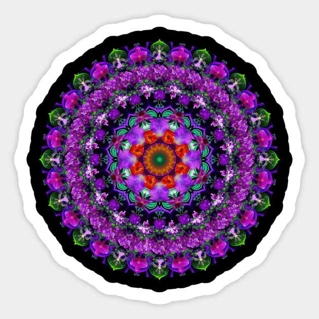 Mandala Magic - Daily Focus 2.19.2023 A2E Sticker by Mandala Magic